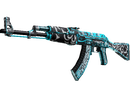AK-47 | Снежный вихрь (Поношенное)